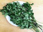 A Complete List of the Health Benefits of Malunggay.